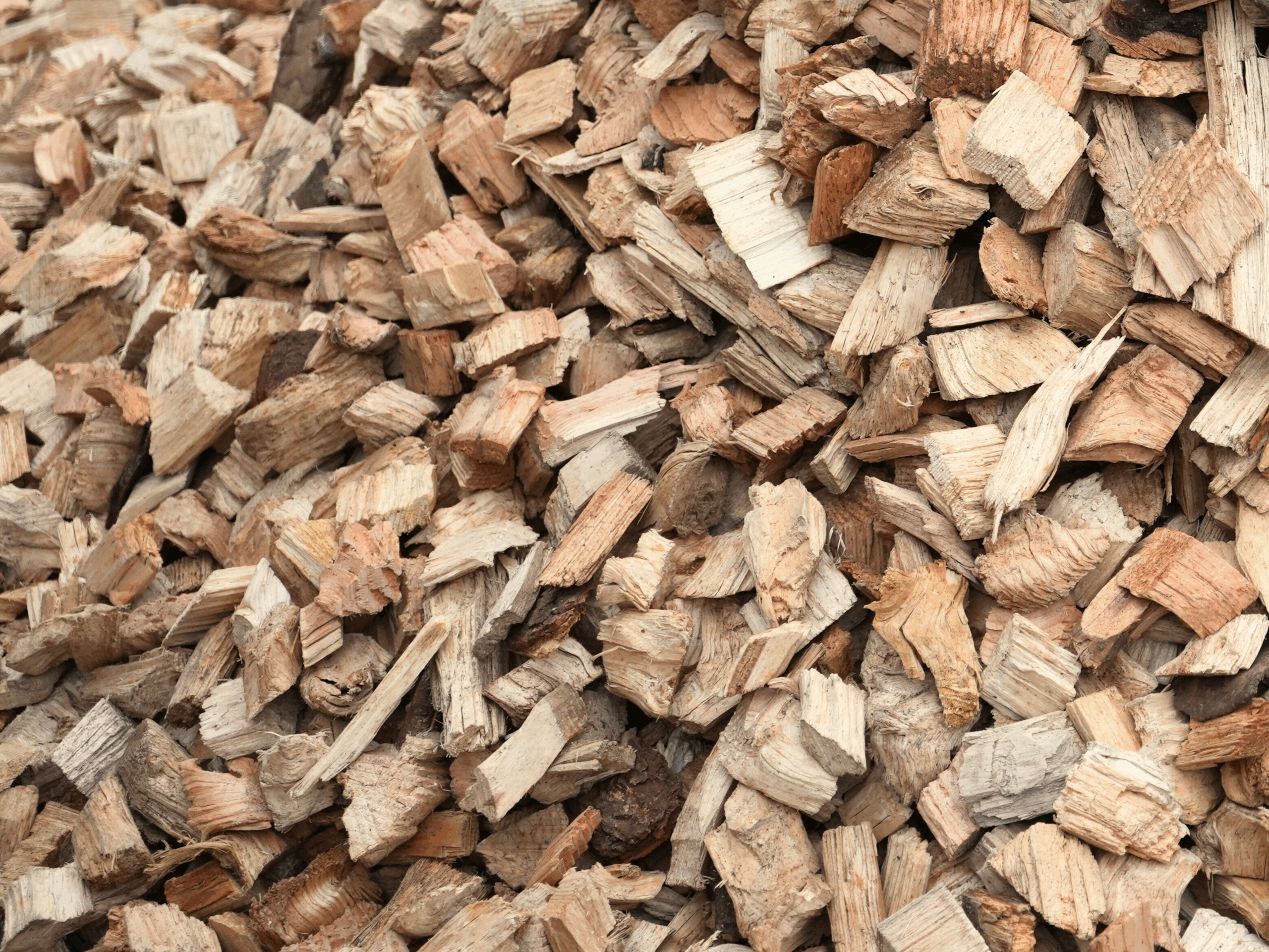 BIOMASS CHIPS