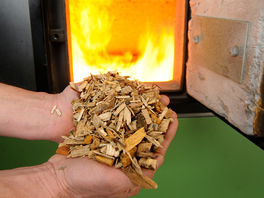 CHP-Chips-Shropshire-Biomass-Fuel-aspect-ratio-700-524