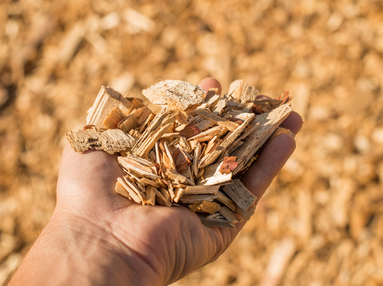 Shropshire-Biomass-Fuels-aspect-ratio-700-524