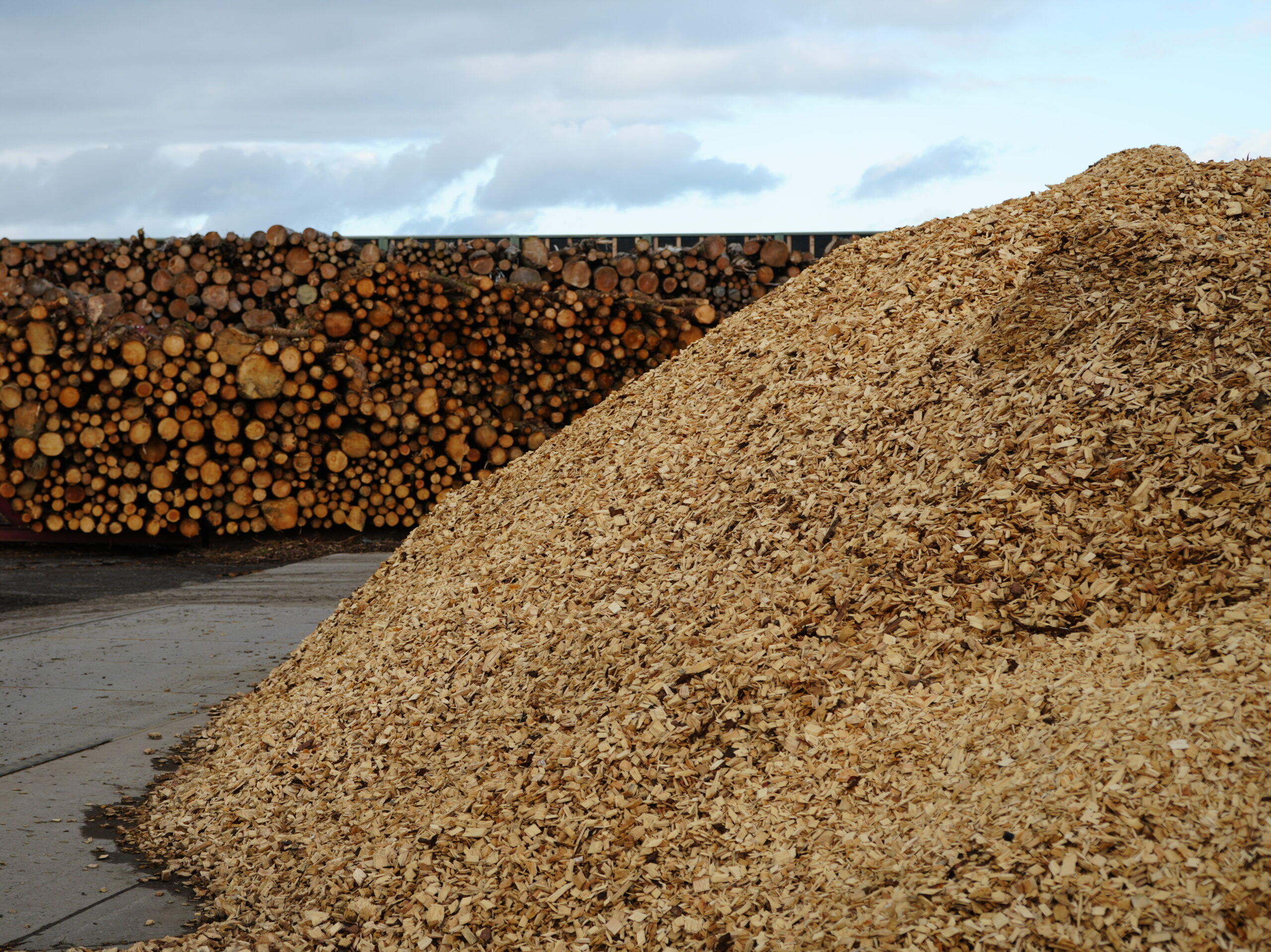 DSC00236-scaled-aspect-ratio-700-524