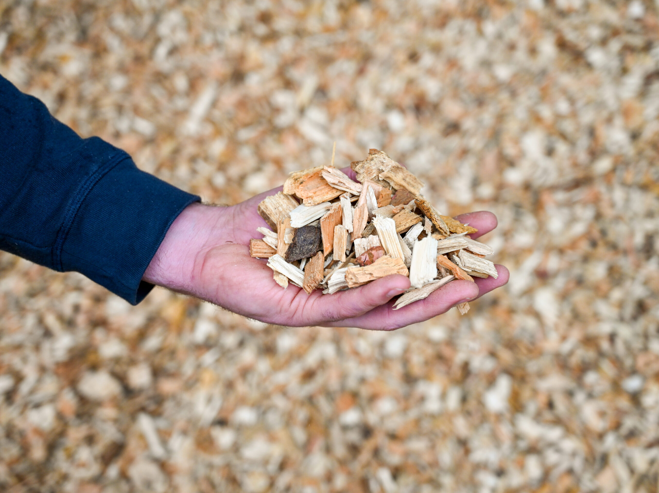 DSC_6697-1-scaled-aspect-ratio-700-524