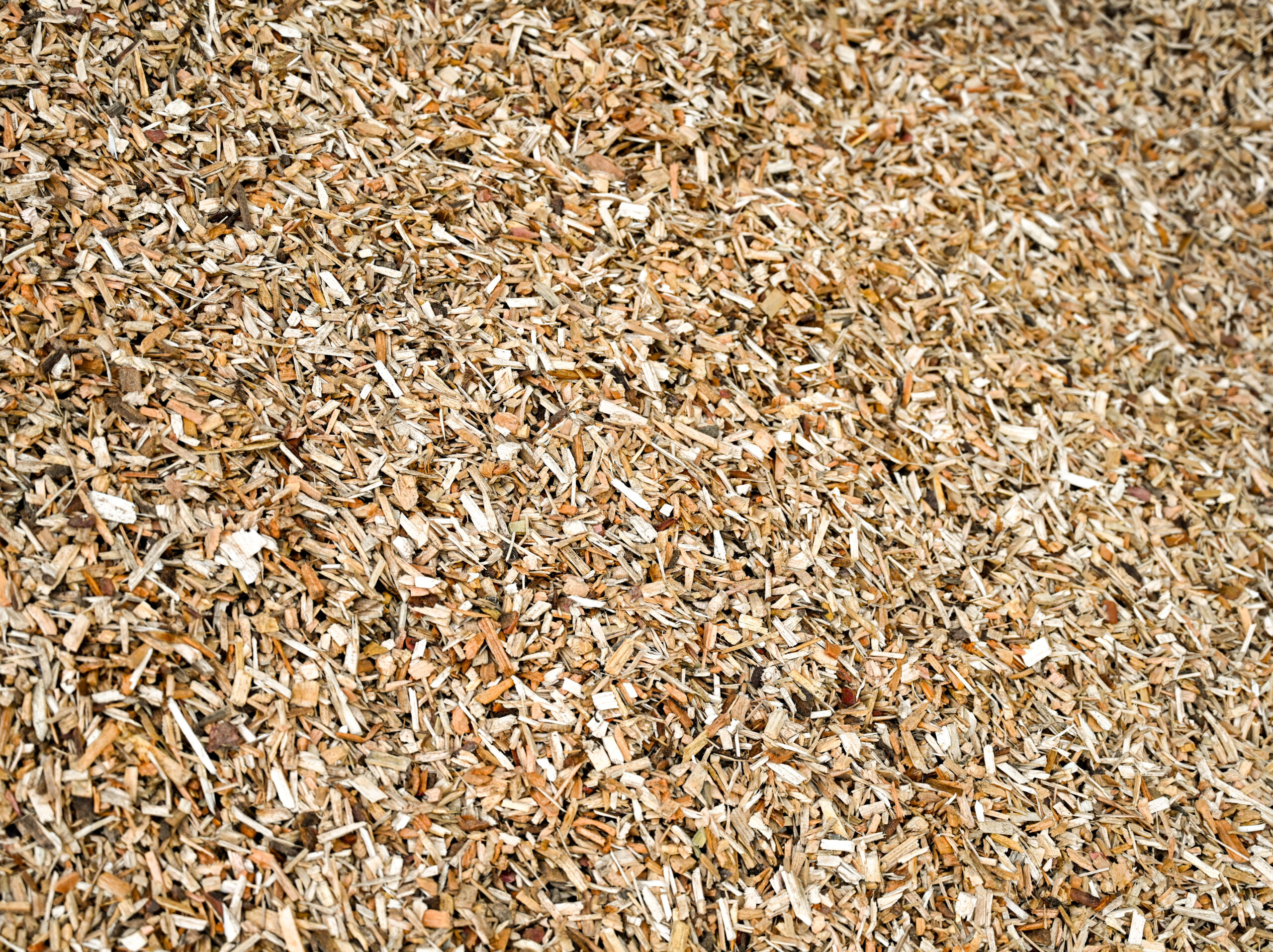 DSC_6713-1-scaled-aspect-ratio-700-524