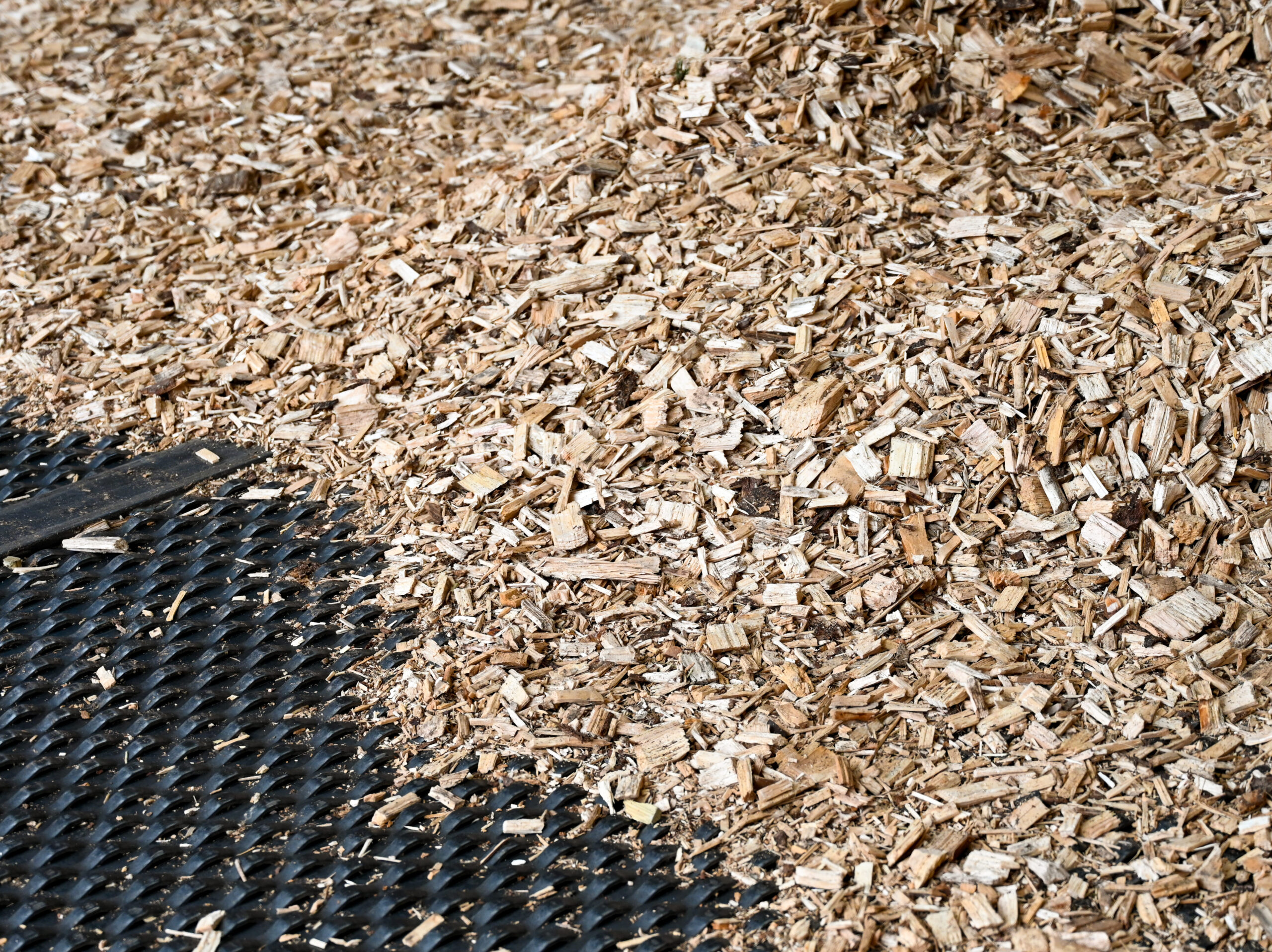 DSC_6790-scaled-aspect-ratio-700-524