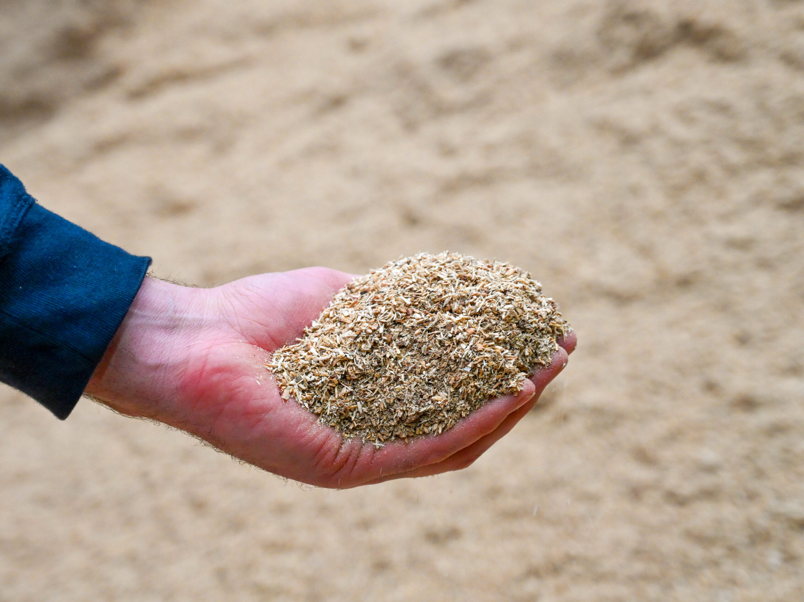 DSC_6824-scaled-aspect-ratio-700-524