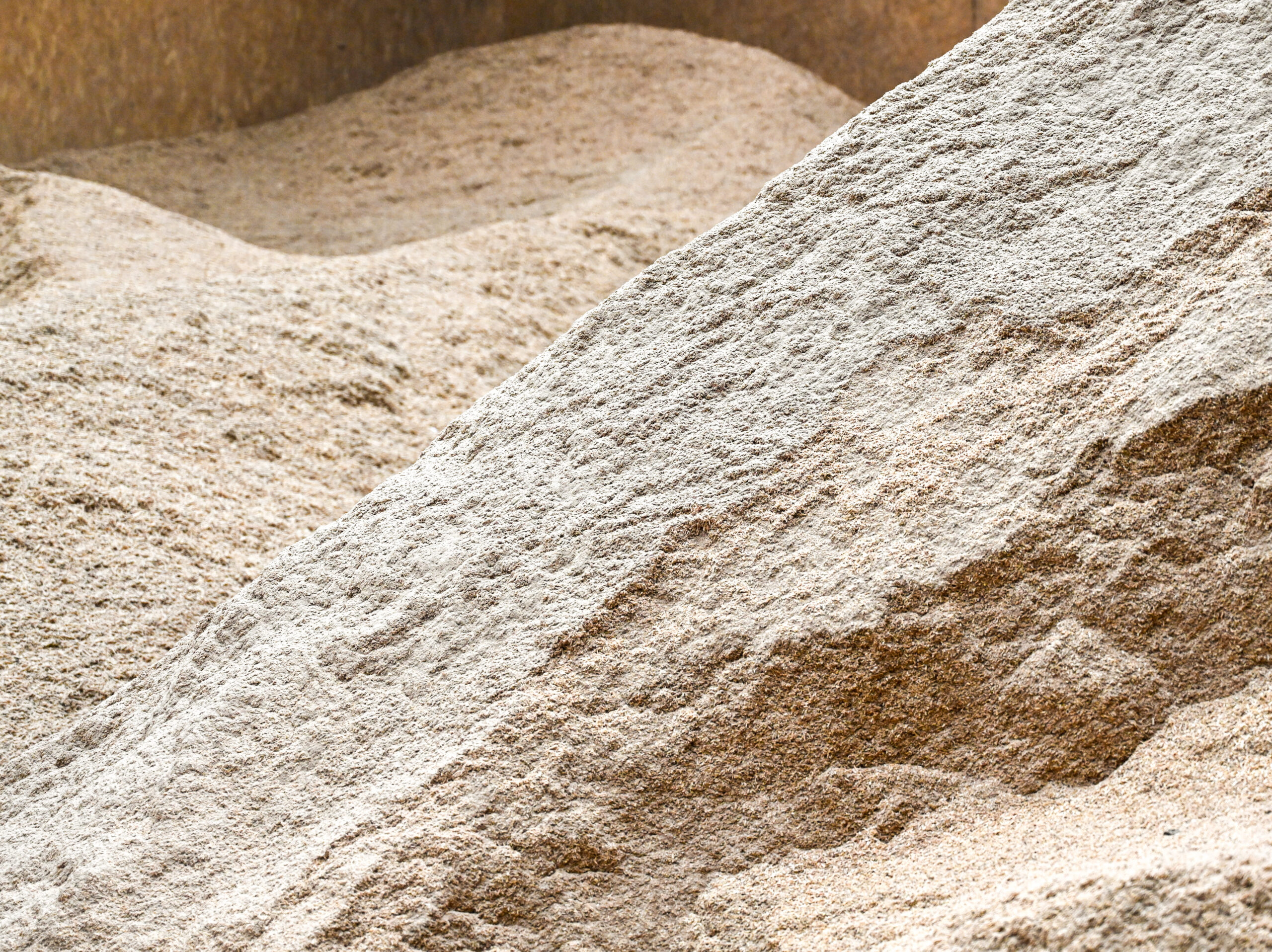 DSC_6834-scaled-aspect-ratio-700-524